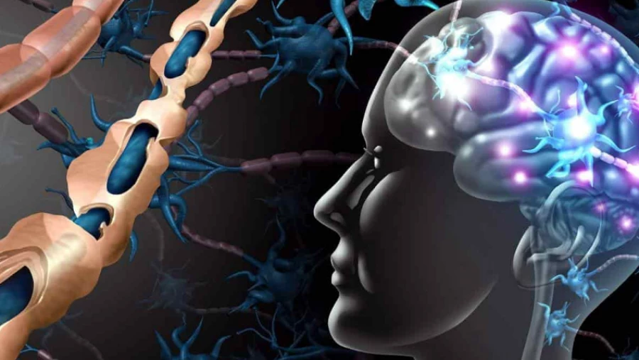 Российские ученые впервые в мире доказали связь конкретной мутации с болезнью мозга