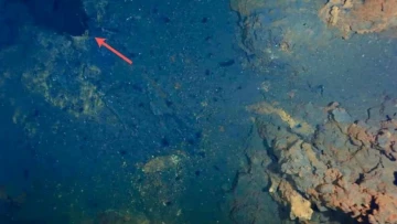 Nature: таинственная жизнь, обнаружена в дыму арктических подводных вулканов