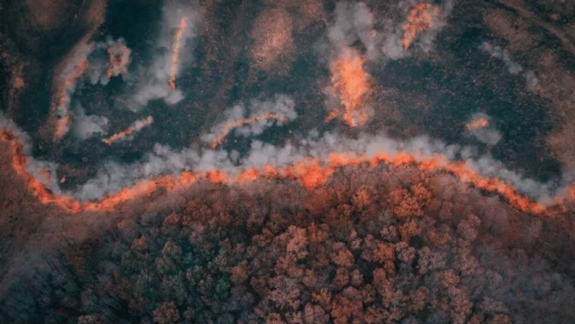 Исследование показывает, что лесные пожары 2021 года увеличили выбросы CO2 на 150%