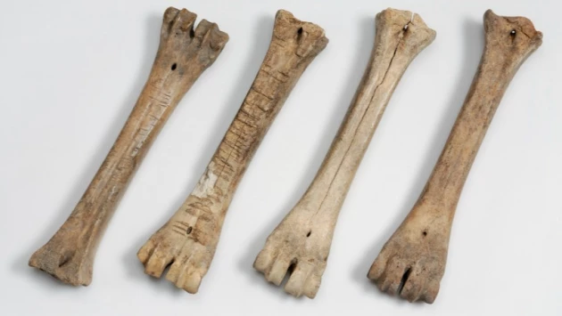 Коньки из костей доисторических животных возрастом 3 500 лет найдены в гробнице в Китае