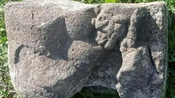 Haaretz: В Израиле обнаружено древнее каменное изображение львицы, кормящей детенышей