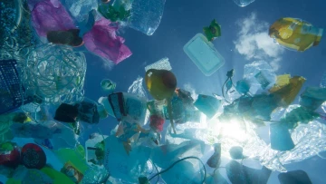 Океаны замусорены 171 триллионом пластиковых кусочков