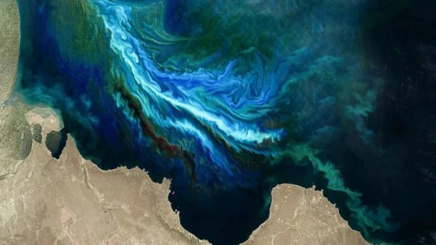 Nature: тенденции цветения водорослей наконец-то обнаружены благодаря снимкам спутника