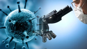 Naked Science: Ученые при помощи ИИ создали вакцину от всех штаммов коронавируса