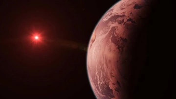 Астрономы обнаружили экзопланету, которая могла бы быть "океаническим миром"