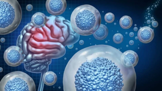 Биологический кислородный баллон для стволовых клеток ускоряет восстановление мозговой ткани
