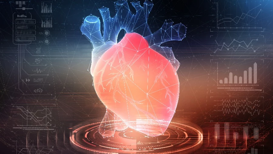 НАСА: Тканевые модели человеческого сердца отправляются в космос для экспериментов