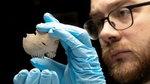 Гребень из человеческого черепа железного века вызвал у ученых вопросы о его предназначении