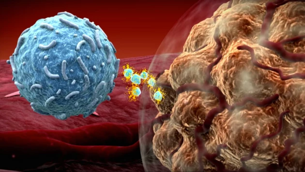 Биологи создали более эффективные иммунные клетки для борьбы с раком