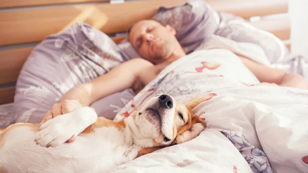Присутствие в спальне домашних питомцев может плохо сказаться на сне хозяев