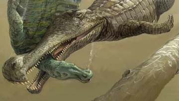 Анализ останков крокодиломорфа изменил представление об эволюции крокодилов