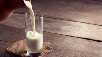 Обогащенное протеинами молоко снижает уровень сахара в крови и влияет на чувство сытости