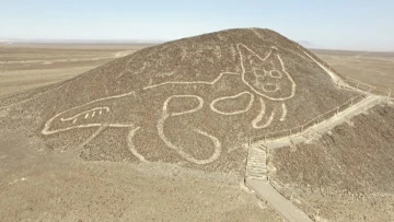 На плато Наска обнаружили геоглиф в виде кошки