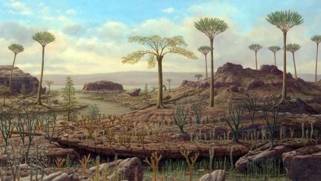 Ученые обнаружили остатки древнейшего леса на Земле возрастом 390 миллионов лет
