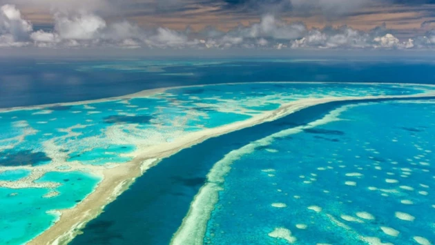 Глобальное потепление вызывает обесцвечивание кораллов Большого Барьерного рифа