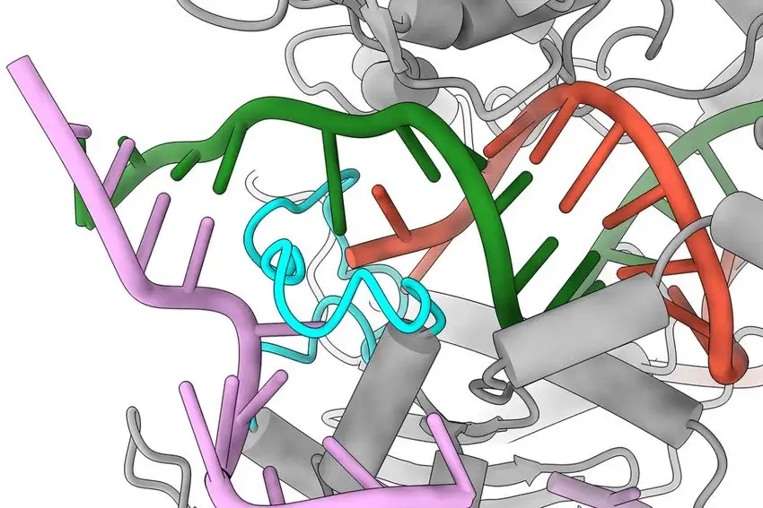 Система CRISPR редактирует гены и предотвращает страшные заболевания
