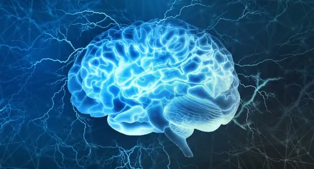Учёные доказали, что мозг в случае опасности соображает в разы быстрей