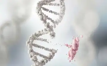 Изменения в ДНК происходят за счёт эволюционного развития
