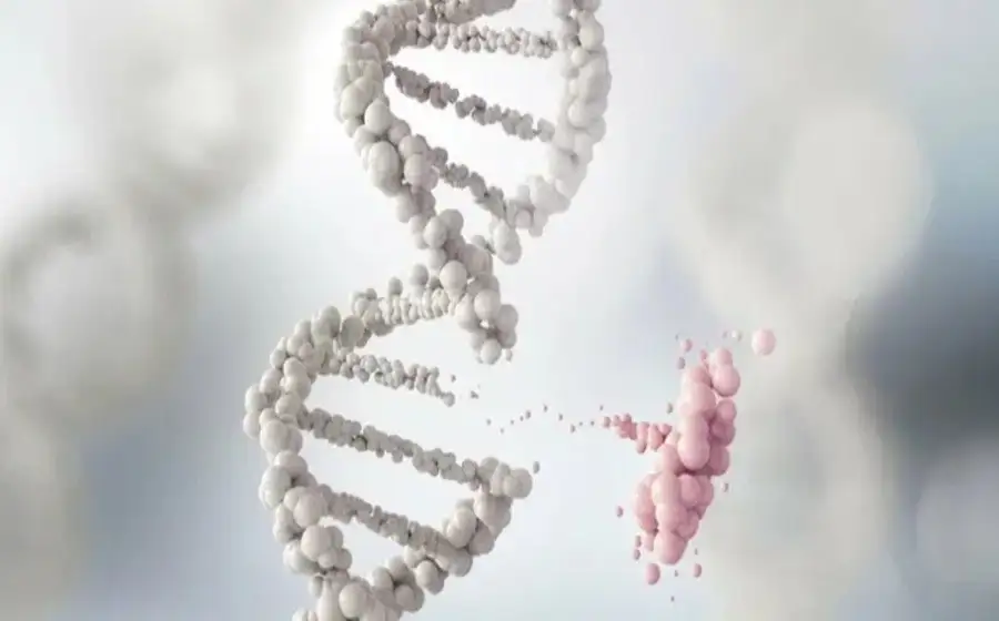Изменения в ДНК происходят за счёт эволюционного развития