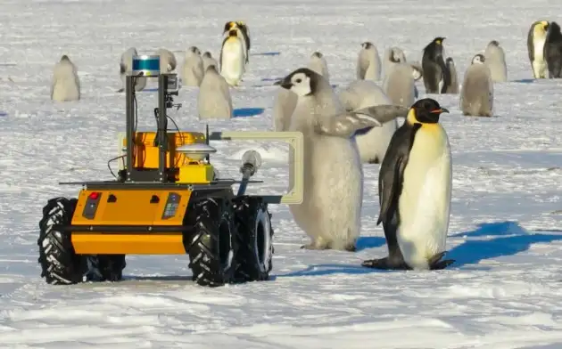 В Антарктиде есть робот-вездеход, который отслеживает каждое движение местных пингвинов