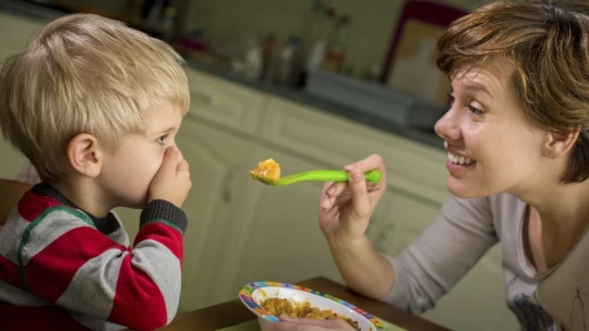 Appetite: некоторые стратегии приема пищи делают привередливых детей еще более суетливыми