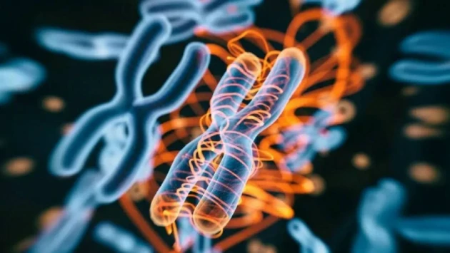 Исследователи выявляют вариации генов, которые могут революционизировать наследственные заболевания