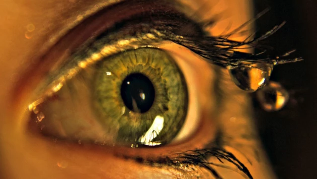 Цвет глаз и предрасположенность к онкологии связали российские ученые