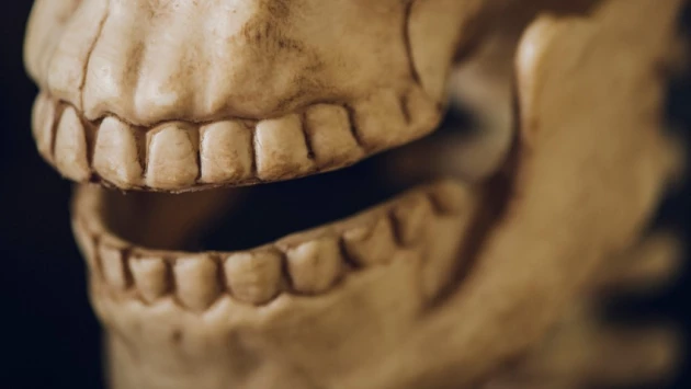 Gismeteo: учёные ответили, почему древние люди 10 000 лет назад имели идеально ровные зубы