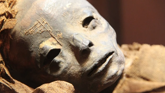 Заболевания крови обнаружены у каждого третьего мумифицированного древнеегипетского ребенка