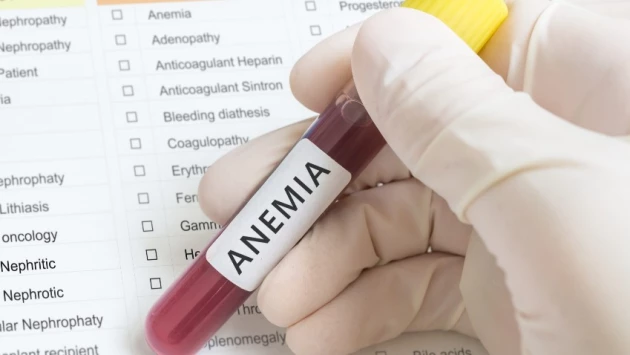 Blood: Ученые Northwestern Medicine выяснили, как гормоны предотвращают анемию