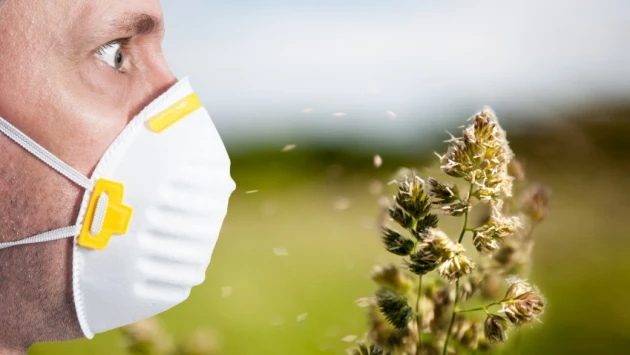 Побороть сенную лихорадку в случае бесполезности обычного лечения помогает иммунотерапия