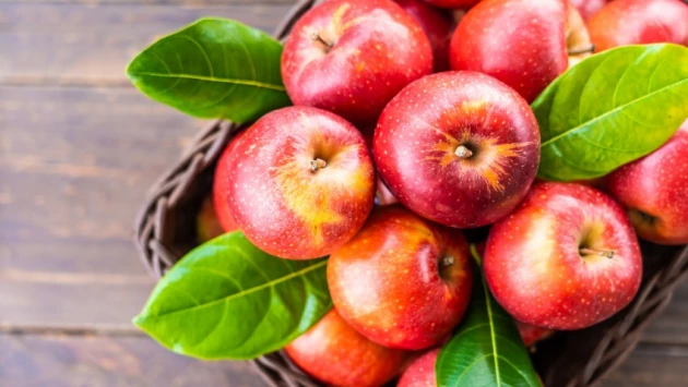 В Гарварде рекомендуют людям старше 40 лет есть яблоки для защиты от возрастной слабости