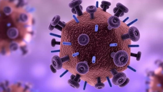 Ученые доказали безопасность использования ингибиторов иммунных контрольных точек у людей, живущих с ВИЧ и раком