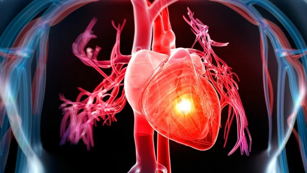 Ученые из США разработали беспроводное устройство для диагностики болезней сердца