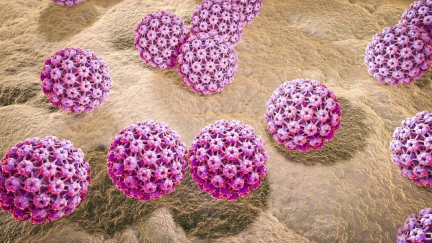 Journal of Infectious Diseases: Диета способствует заражению ВПЧ, приводящему к раку