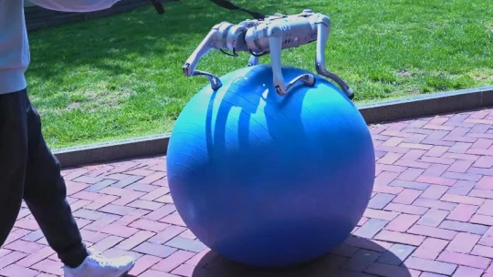 Робот-собака Go1 балансирует на фитнес-мяче лучше человека благодаря ИИ