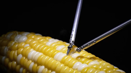 Робот-микрохирург от Sony может сшивать зерна кукурузы
