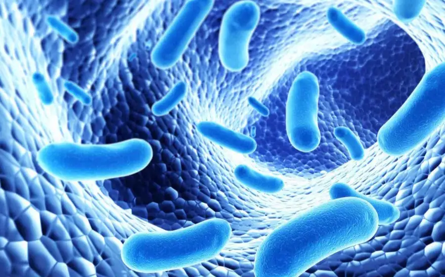 The Lancet: бактерии являются второй по значимости причиной смерти во всем мире