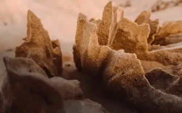 Серебряное украшение бронзового века обнаружили в Омане