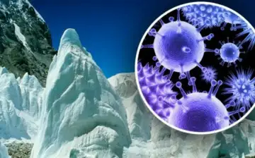 Ученые обнаружили сразу 7 древних вирусов