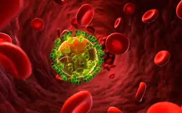 Nature Microbiology: медики из университета Дьюка выяснили, как ВИЧ избегает лекарств