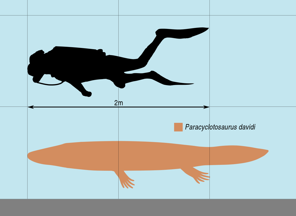 Учёные рассчитали массу древних «крокодилов», обитавших 330-120 млн лет назад