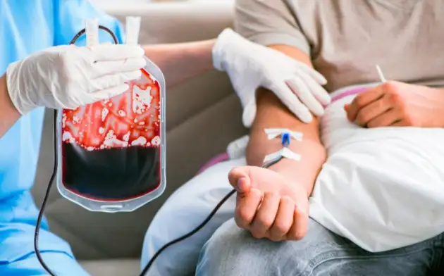 Выращенная в лаборатории кровь может заменить донорскую