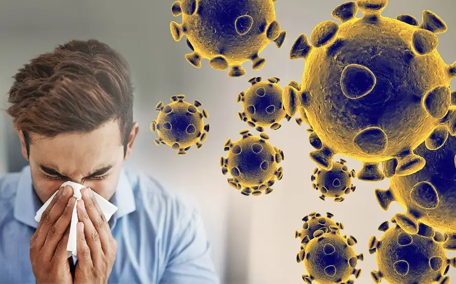 Большое количество вирусов может спасти человечество от эпидемии