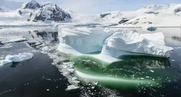 FMS: океанографы обнаружили, что под льдами Антарктики активно цветут колонии фитопланктона