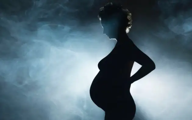 Космические перелёты несут угрозу критических осложнений для беременных женщин