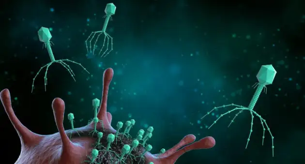 Исследователи нашли способ бороться с бактериями, устойчивыми к антибиотикам
