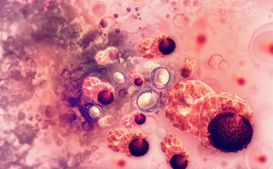 Исследователи разрабатывают «пролекарство» для борьбы с раковыми клетками
