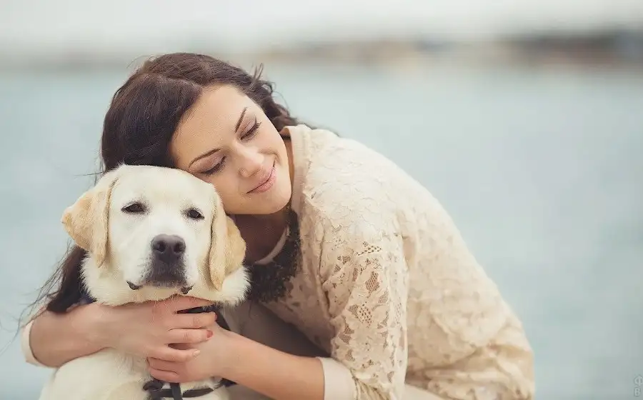 Ученые объяснили, как между людьми и собаками возникает особая эмоциональная связь