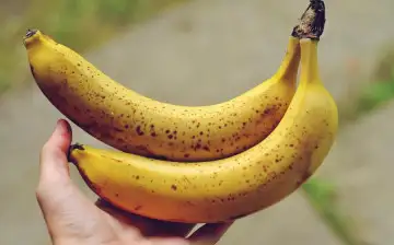 Al Jazeera: радиация человеческого тела в 280 раз выше излучения от банана